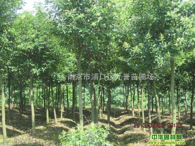 �߸�Ů�ꡢ��ҶŮ�ꡢŮ������10���ִ�ҶŮ��