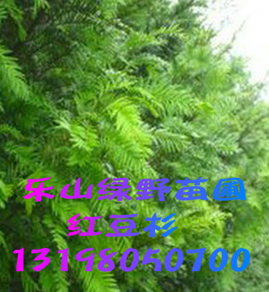 �춹ɼ5��������