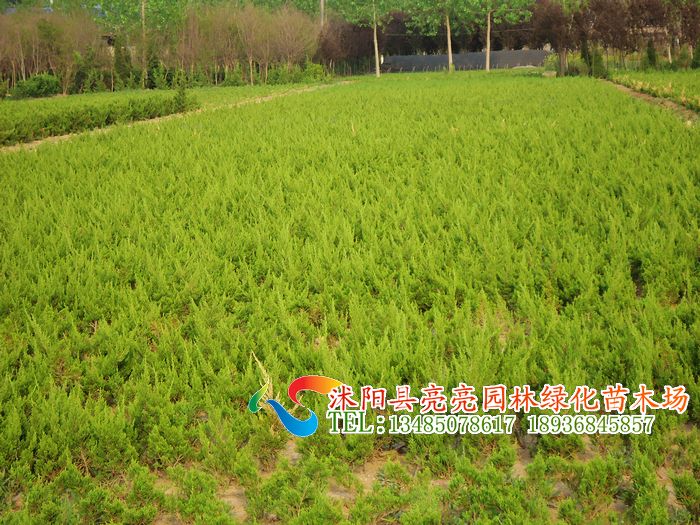�����硢�����硢�����硢�������