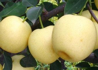 �����硢�ƽ������硢�ƹ������硢����������