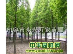 2-4���ֳ�ɼ