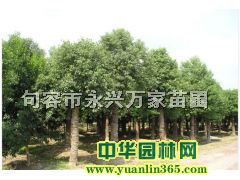����5-30����