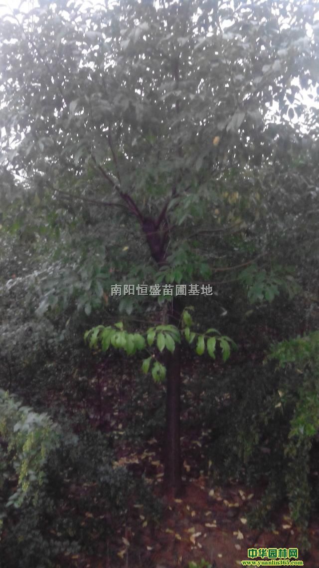 ˿��ľ
