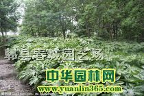 �˽ǽ���