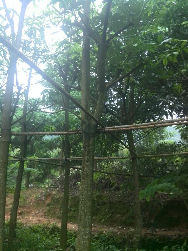 ����Ӵ�С���ֵ��硢����