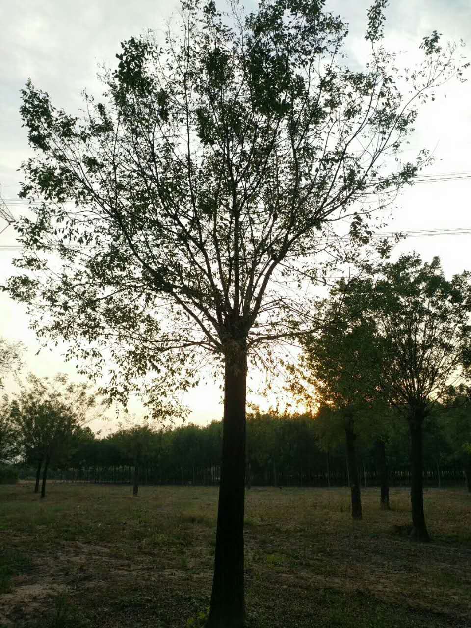 �Ϲ���_30����_��������
