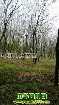 �׾�3-22��������