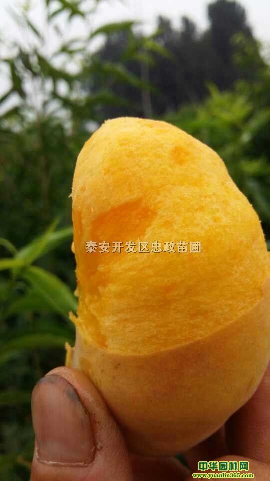 ����������硢�����н���������硢������