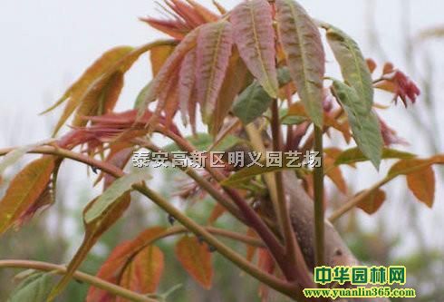 �����㴻�硢���ʴ����㴻��