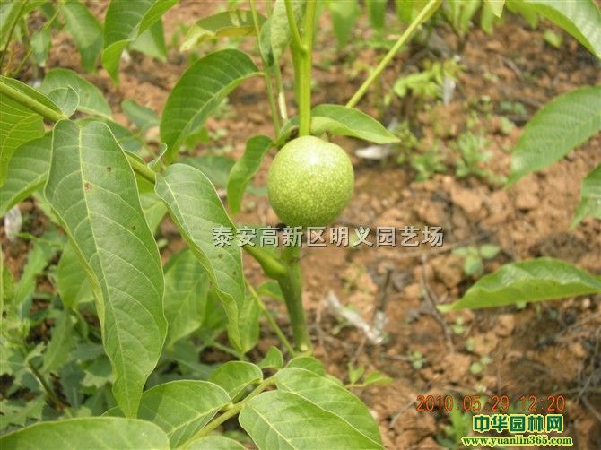 8518�����硢8518�����硢8518�޽Ӻ�����