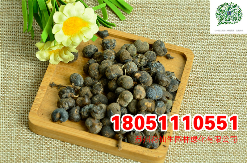 ������ӡ����ء�ƴ�ء��й���������