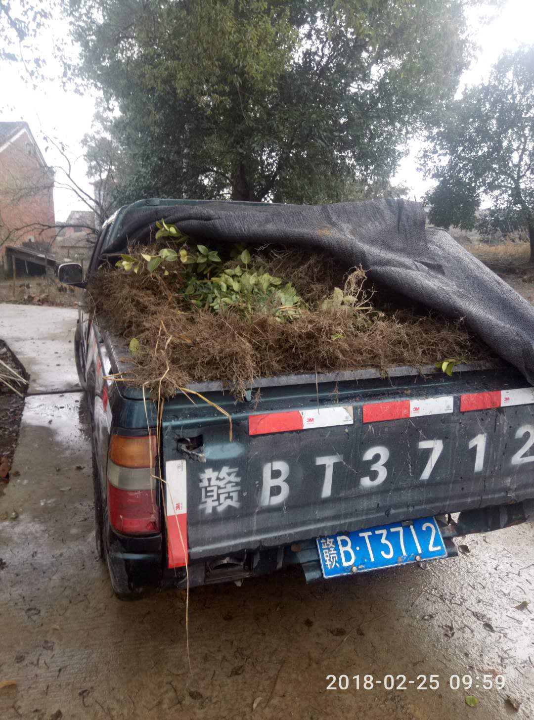 �Ͳ��硢һ���������޽��Ͳ��硢�߲����Ͳ��硢������