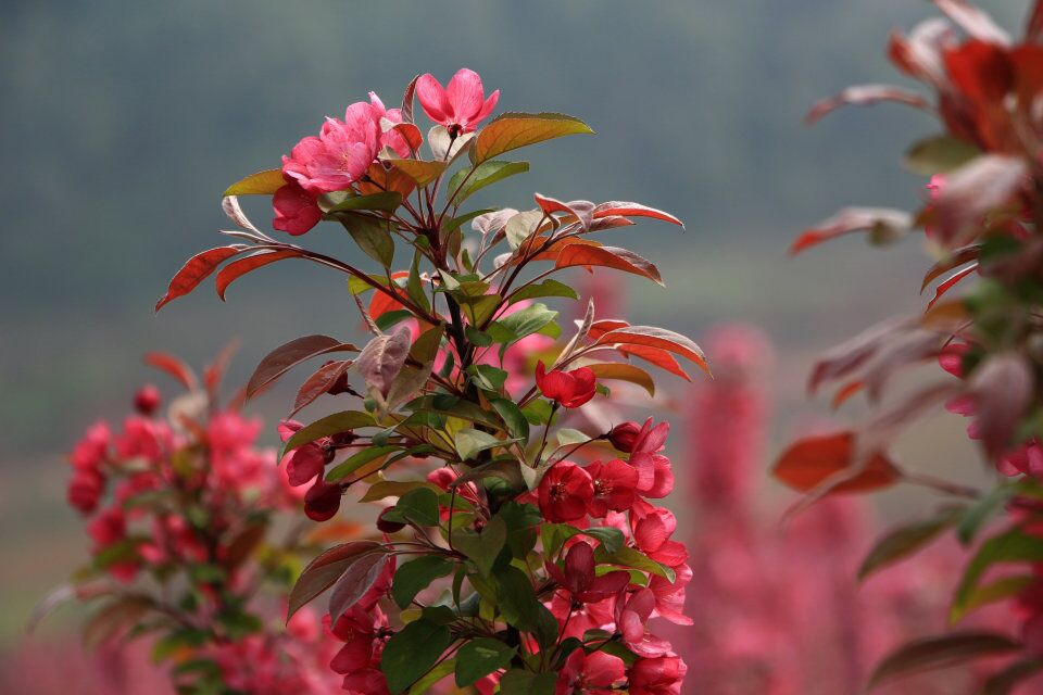�ͼ۱����������������캣�ġ�Ѥ�����ġ��������̺���