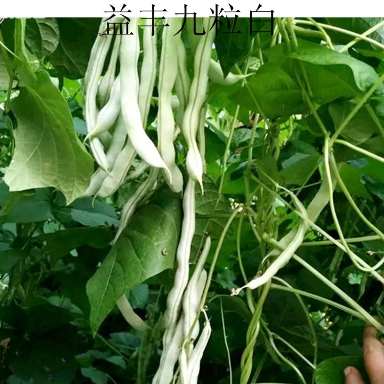 ��Ķ����������-�ļ����ܶ����ӱ�����¶�춼����