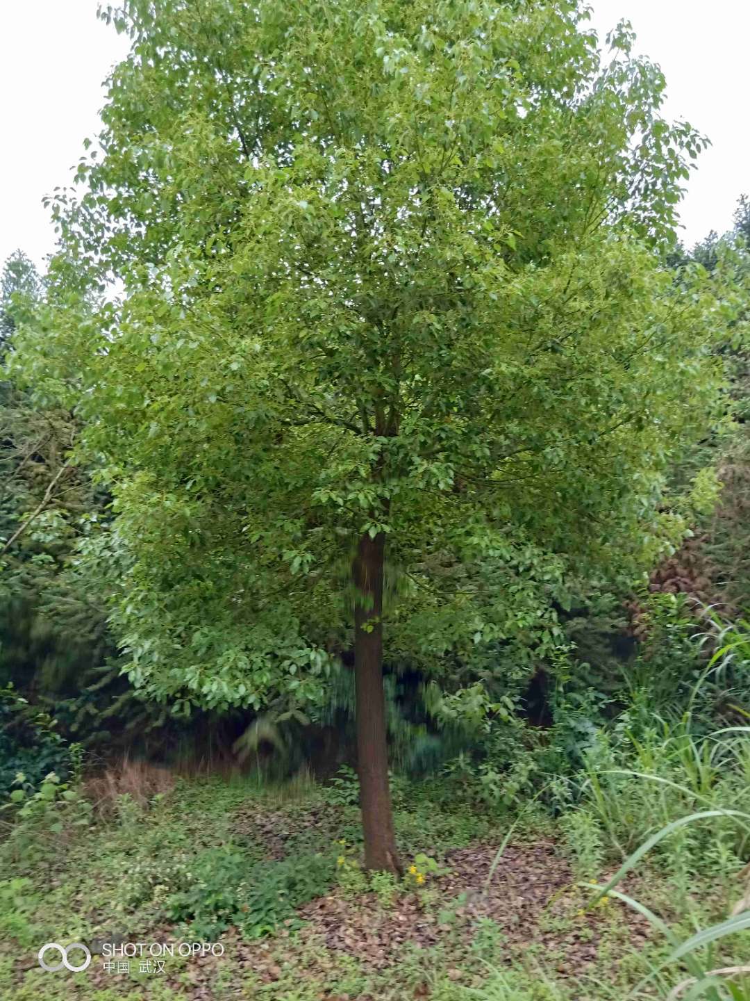 10-30��������