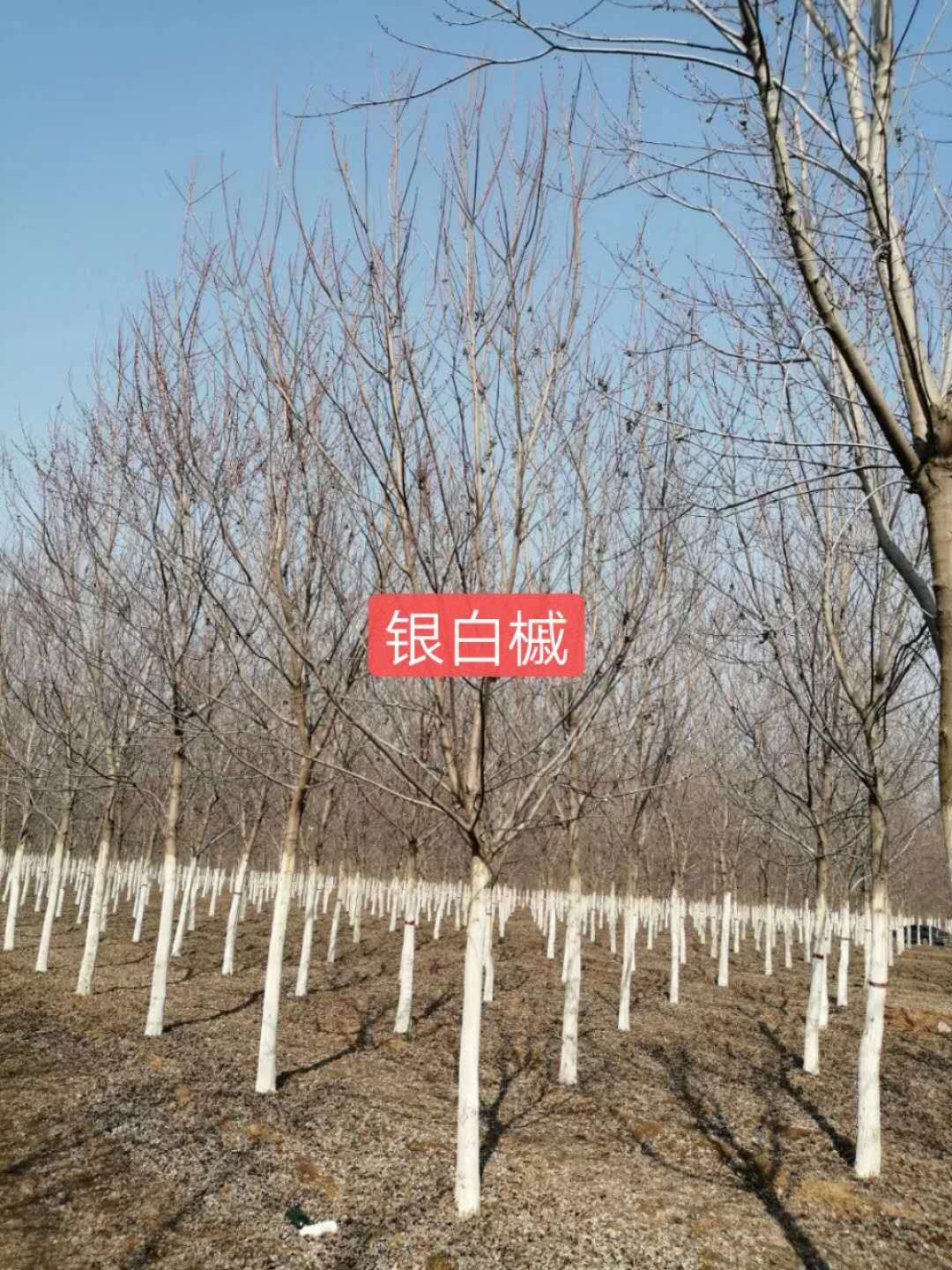 ������10-15����