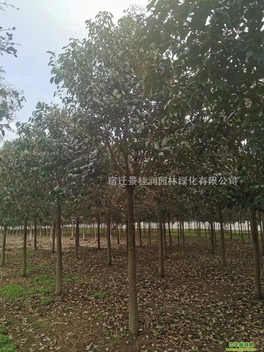 10���ָ߸�Ů����