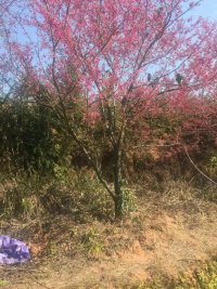 ����̨��ӣ��6-15����̨��ӣ�����Խ�������