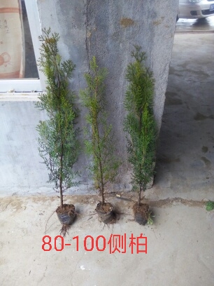 ��ء�����硢��ػ���