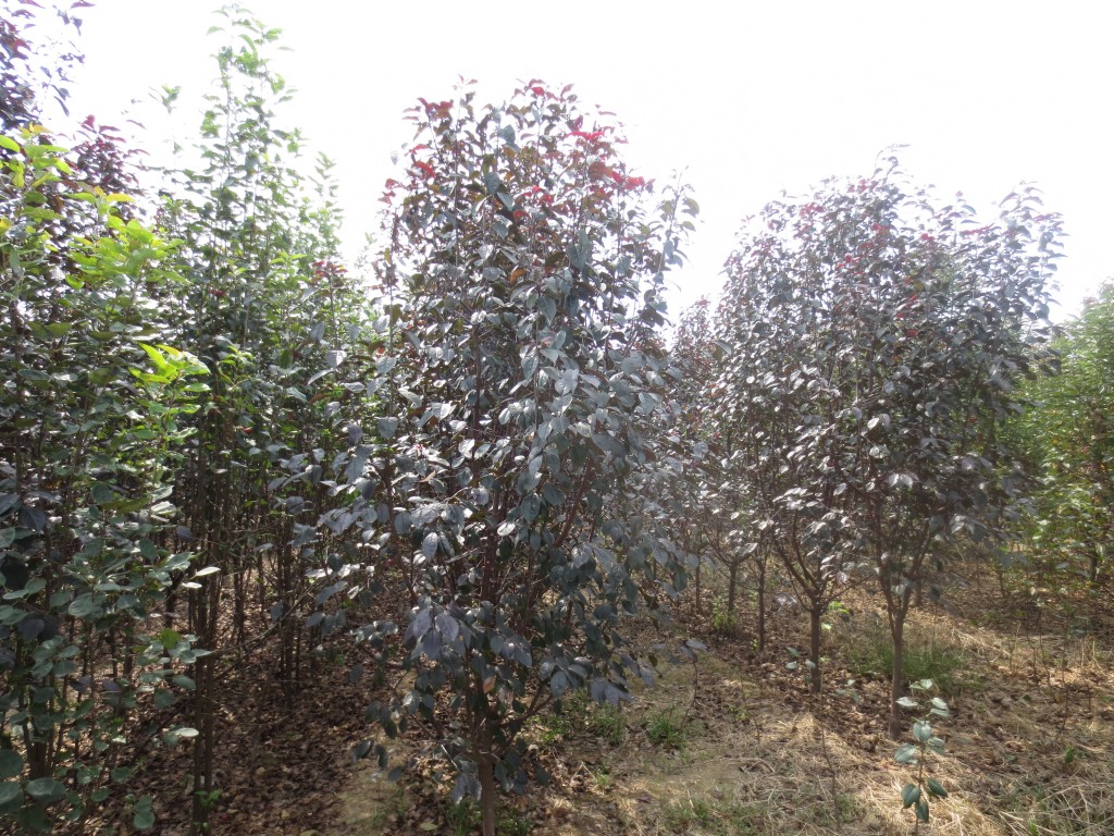 ���庣�ĵؾ�3-10����
