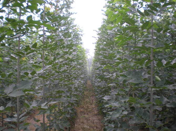��������0.1-3�׸�