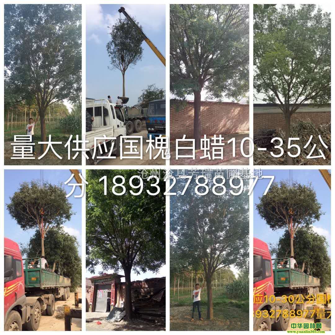 �ӱ����ݳ��ڴ���10-40���ֹ�������ȫ�ڰ��