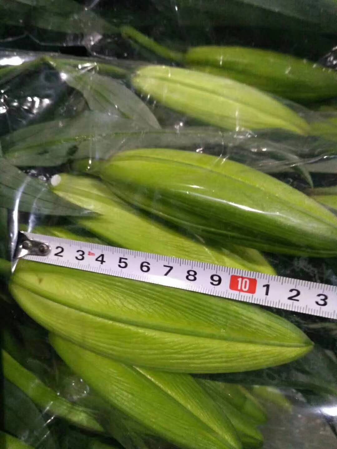����������Դ�ٺ϶��������㽣���ʻ�����