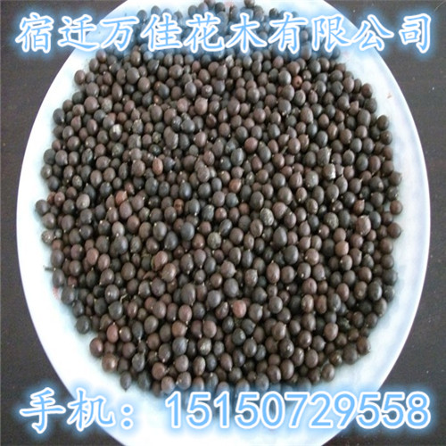 �����������ӡ�ĵ�����ӡ��������ӡ���������