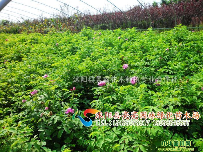 �Ứ�¼���΢���¼����ر��¼�������¼���Ǿޱ��������ñ���¼�