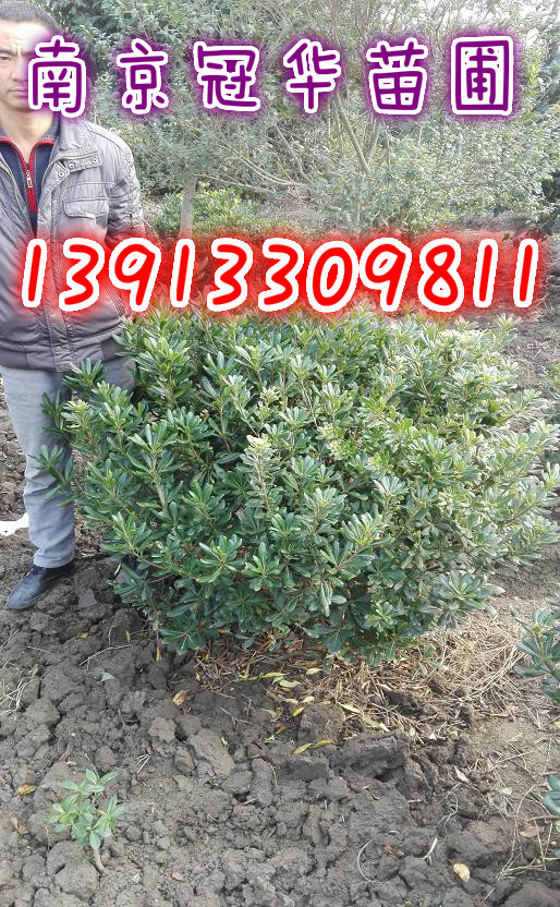 �ڷ�2�׺�ͩ��2.1�׺�ͩ��2.2�׺�ͩ��2.3�׺�ͩ��۸�