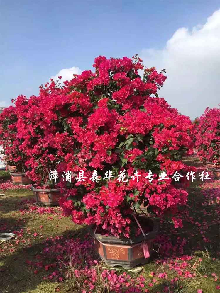 �컨����÷��װ���ļ�������÷