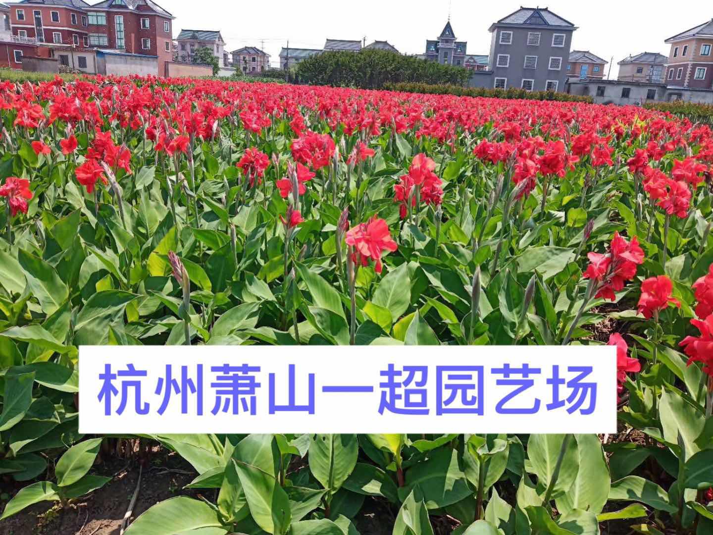 �컨���˽����ƻ����˽�����Ҷ���˽�����Ҷ���˽�