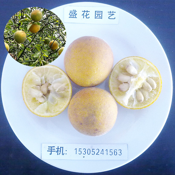 �������ӡ�����կ�����١�������ס���轡��׿�����