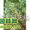 �ؾ�1��������·2��������С��·3������