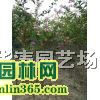 ������ޱС��·�ؾ�1-3������ޱС��·��