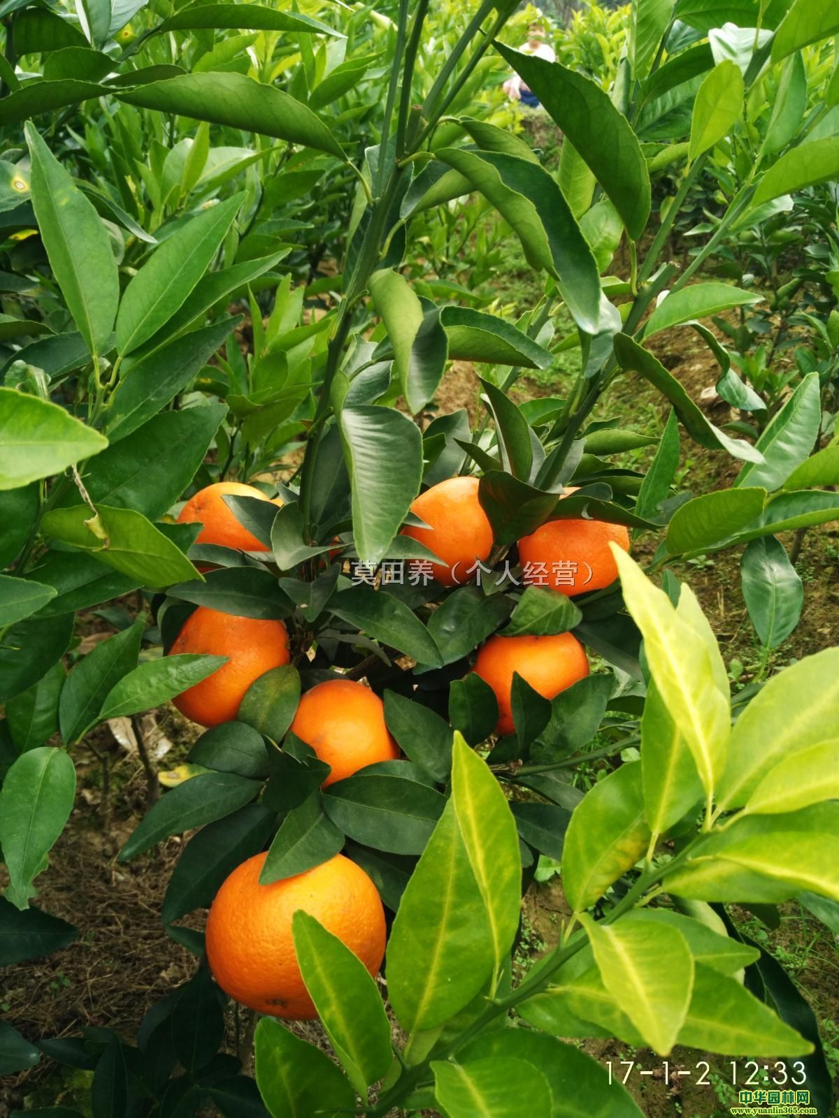 �ָ̡�ɰ���١��۽ۡ����̡�������