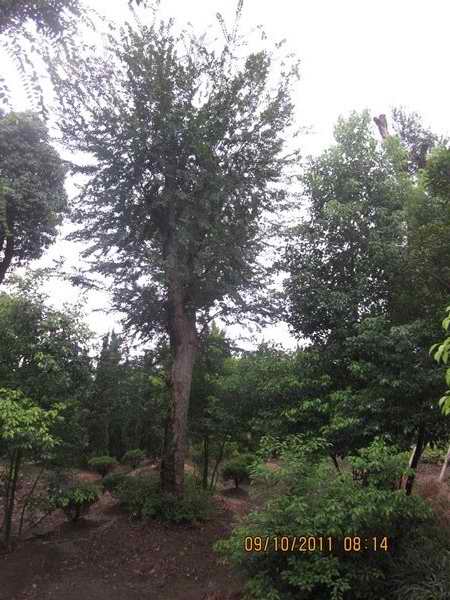 ���շ������ܡ��������ܼ۸񡢺Ϸ����ܼ۸�