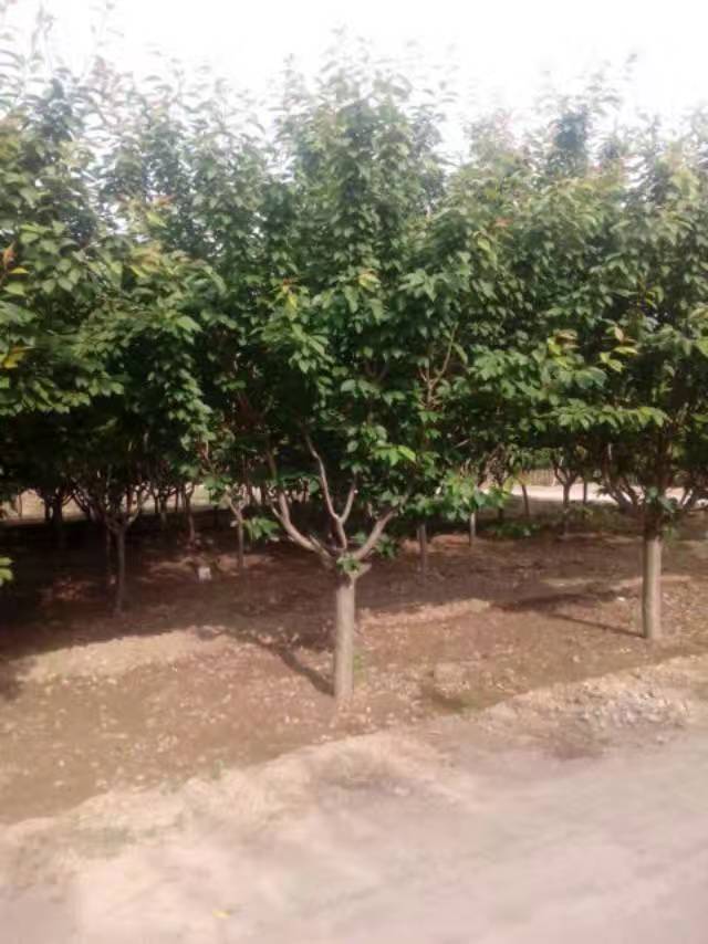 24������ӣ25������ӣ26������ӣ27������ӣ28������ӣ