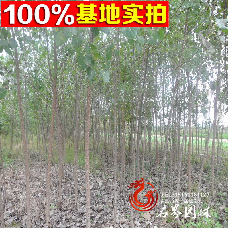 107������107�����硢107��������