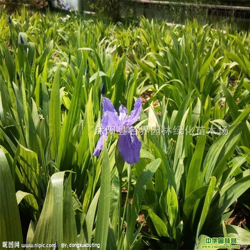 �����β���ֳ�ָ�硢������װ��������ǿ