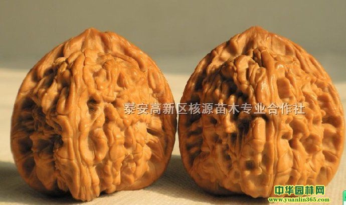 ��������硢���������