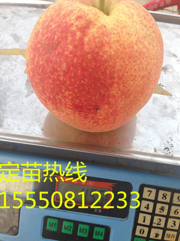 �������硢�¹ں�����