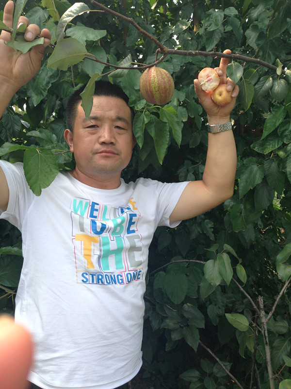 �����硢��������硢�¹ں����硢����������