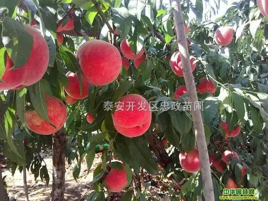 ���������硢���������硢����������