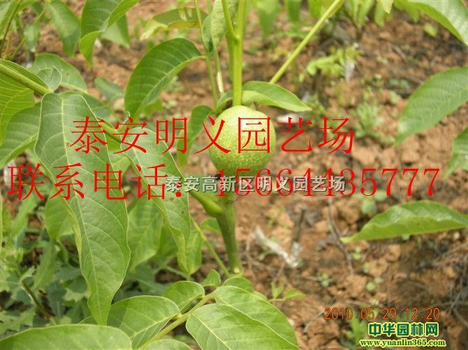 ��������硢�ɺӺ����硢��ʵ�����硢ʵ��������