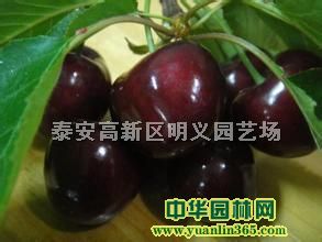 ������ӣ���硢����ӣ���硢������ӣ����