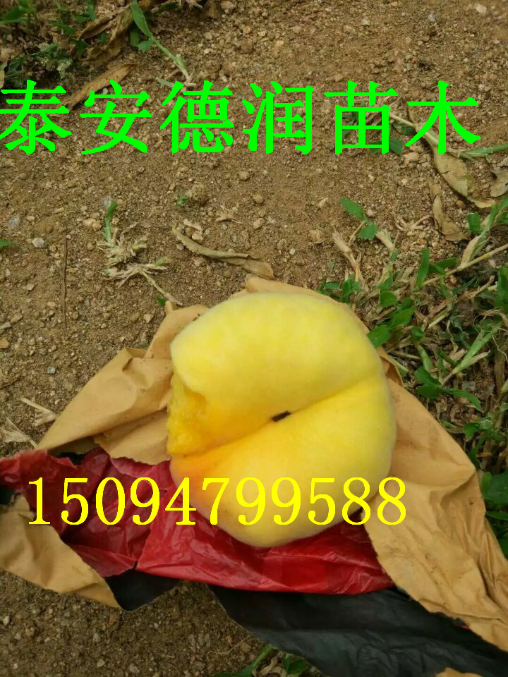 ���13�����۸����13����������