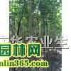 �����Ŵ�ҶŮ��۸��׾�3����7Ԫ��4����13Ԫ��5����20Ԫ