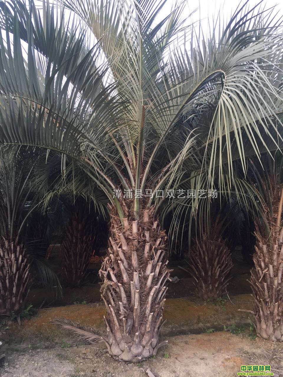 ��������Ҭ�ӡ��˸�2�ס��ڷ�4�ס��۸�1300