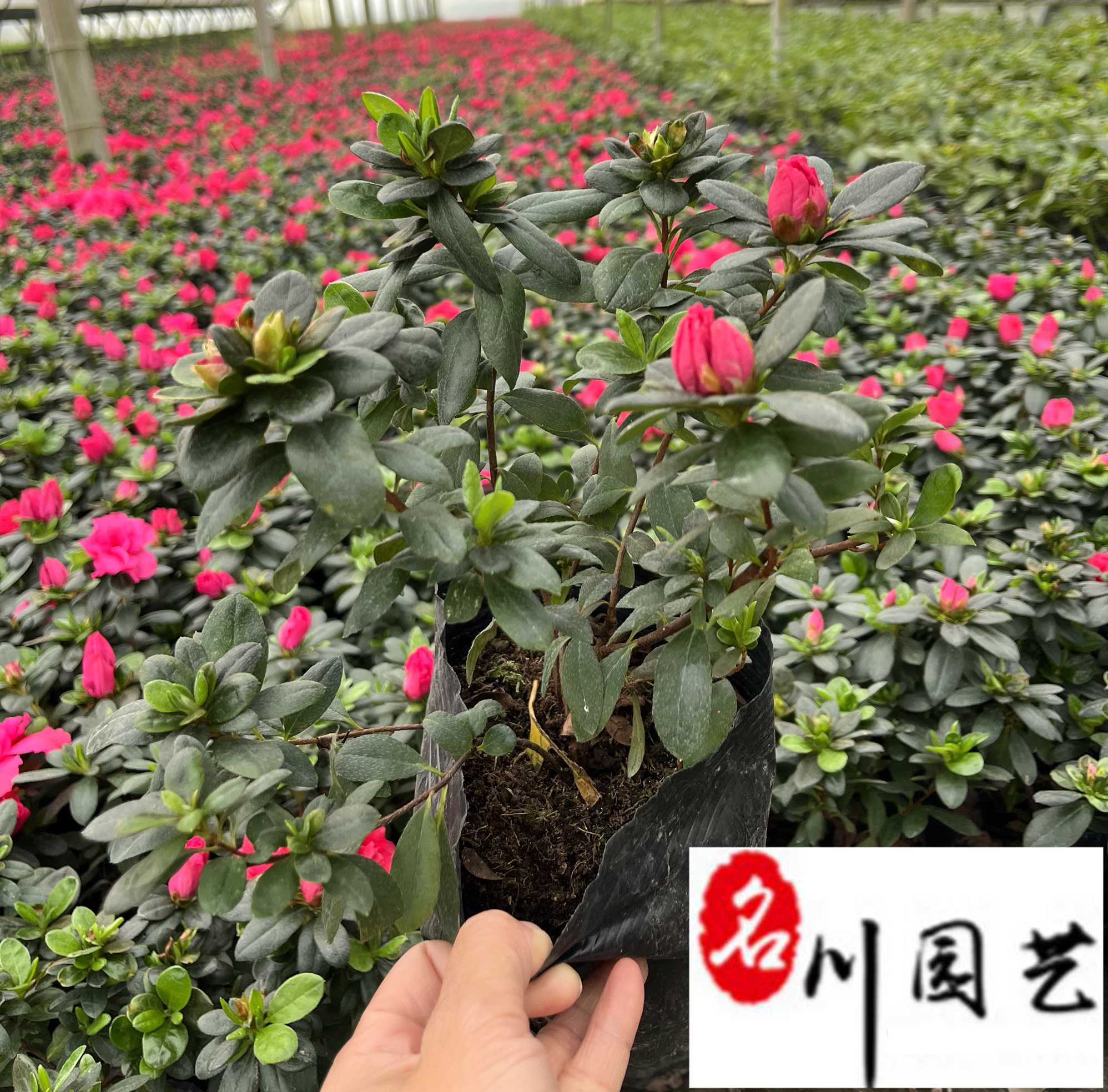 �ɶ�������������ء�����鹤����۸��������